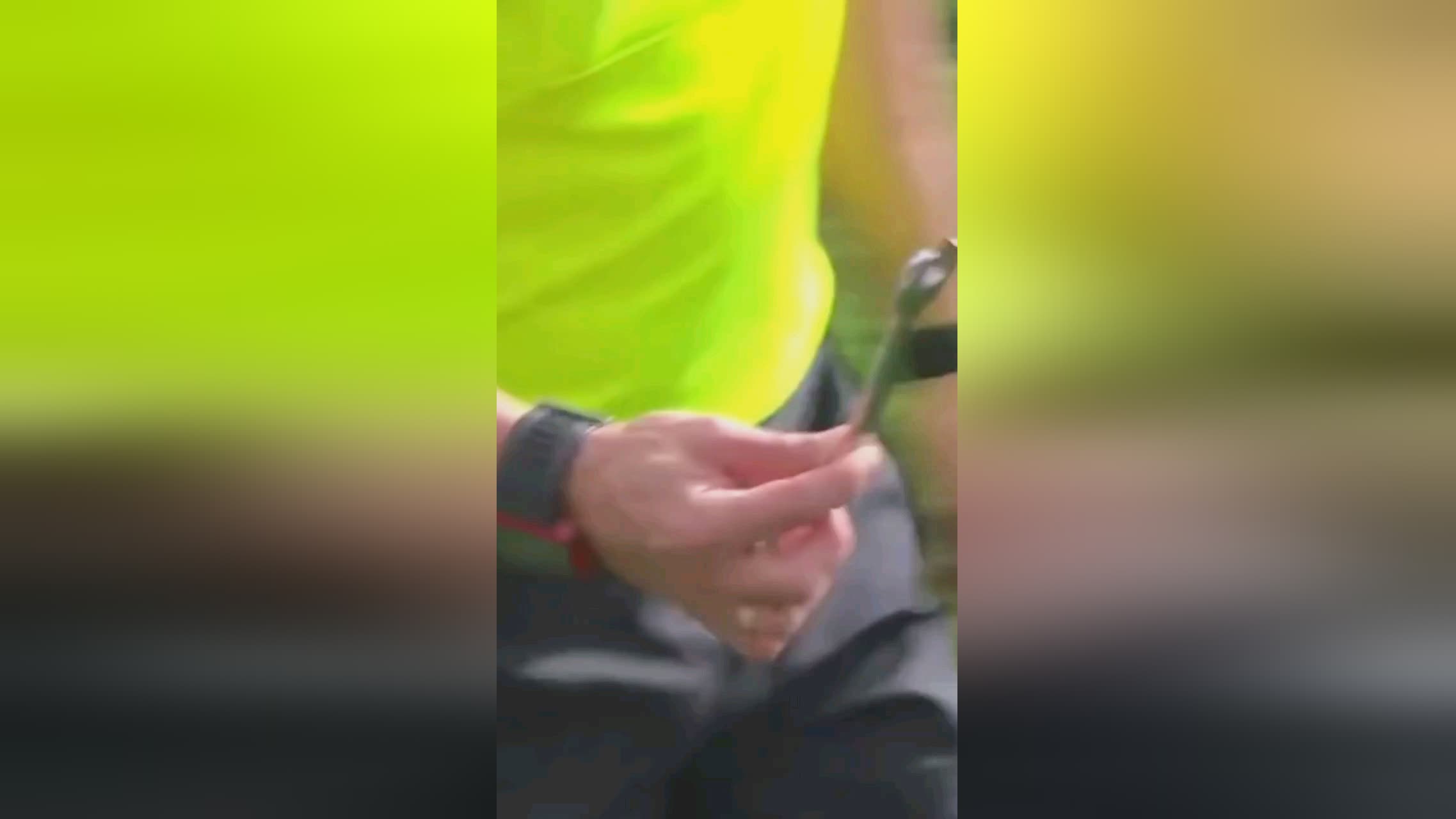 著更
